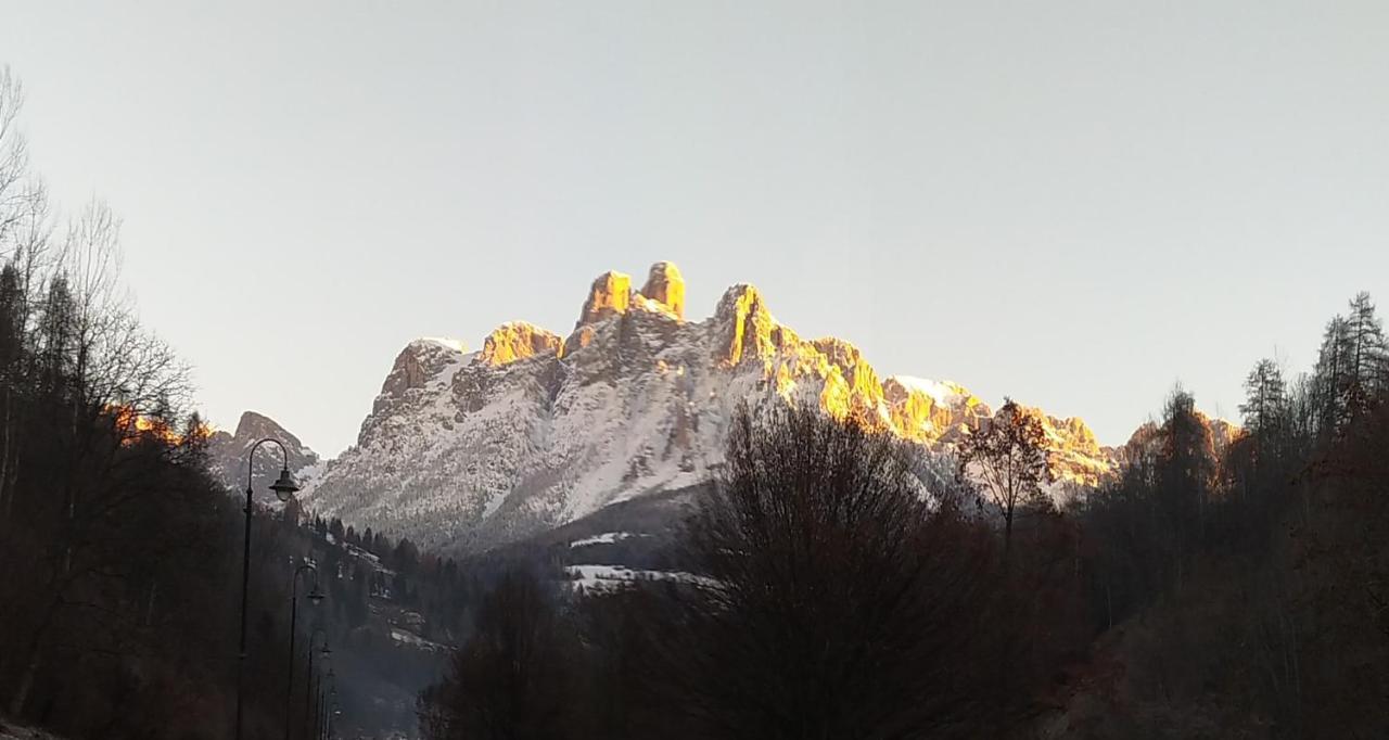 Апартаменты Casa Renzo - Dolomiti - Trentino Медзано Экстерьер фото