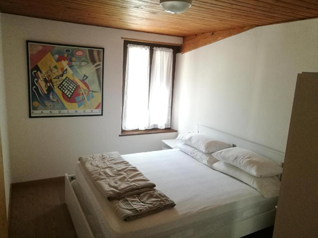 Апартаменты Casa Renzo - Dolomiti - Trentino Медзано Экстерьер фото